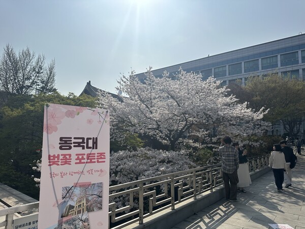 Students are taking pictures on the Hyehwa Hall Cloud Bridge /Photography by Kim Do-hyun