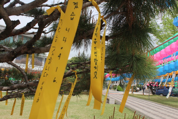 ▲추모 메시지의 노란 리본이 달린 기억의 나무 (사진=고아름 수습기자.)