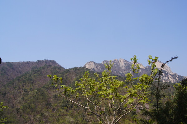 /Photography by Kim Bo-young