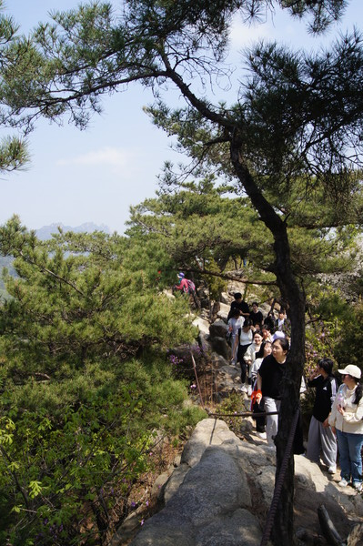 /Photography by Kim Bo-young