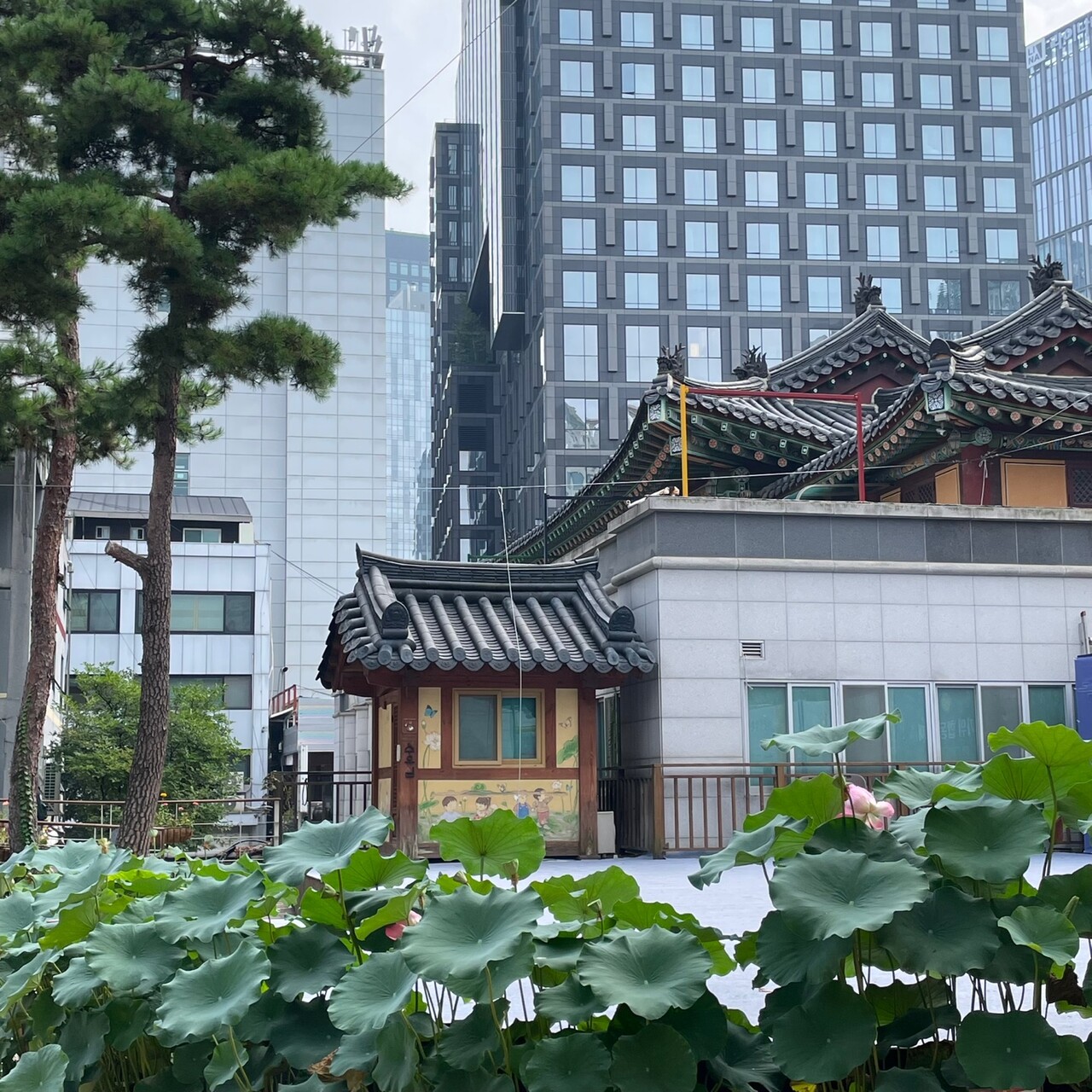 Located in the center of Seoul, Jogyesa Temple offers a magnificent view, combined of traditional and modern buildings. /Photography by Kim Bo-young