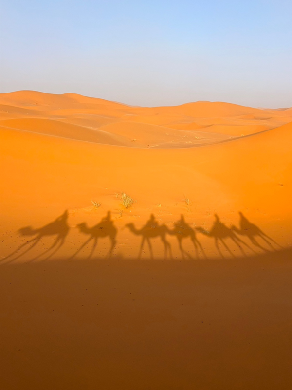 ▲방학 중 다녀온 모로코 (사진제공=이서영 학우.)