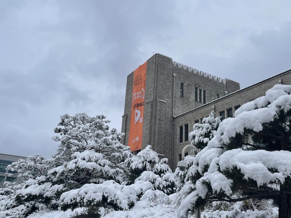 /Photography by Kim Bo-young