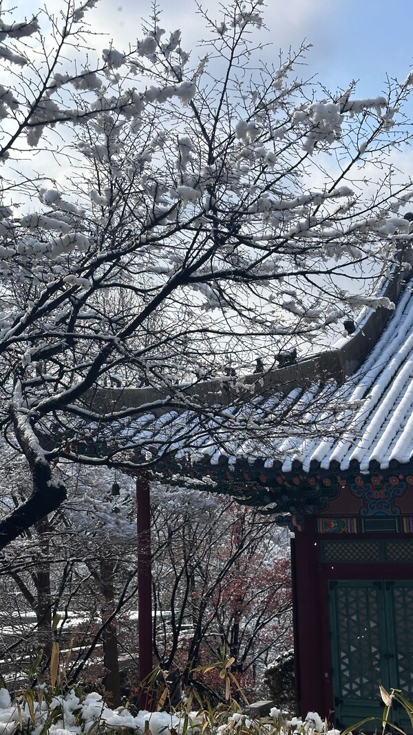 △ 춘분을 이틀 앞두고 때아닌 폭설로 눈이불을 덮은 우리대학 모습 (사진= 오솔미 편집위원)