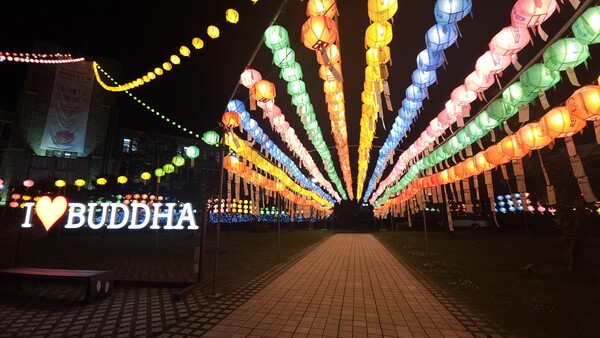 Dongguk Latern festival held its lighting ceremony, carrying hopes of many. /Photography by Lee Jae-won