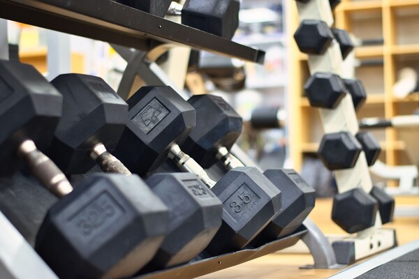 Healthy Pleasure involves physical health and mental enjoyment. /Photography provided by Needpix