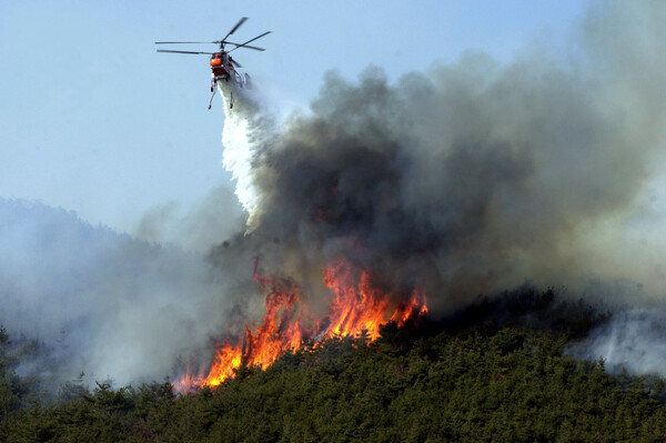 What began as a spark turns into a disaster across Uiseong’s mountains. /Photography by Seoul Metropolitan Fire & Disaster Headquarters