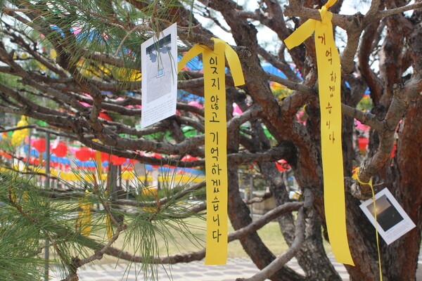▲추모 메시지의 노란 리본이 달린 기억의 나무 (사진=박서원 수습기자.)