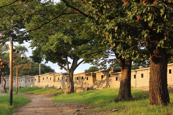 ▲흥인지문공원에서 이어지는 낙산 성곽길의 풍경 (사진=김지윤 기자.)