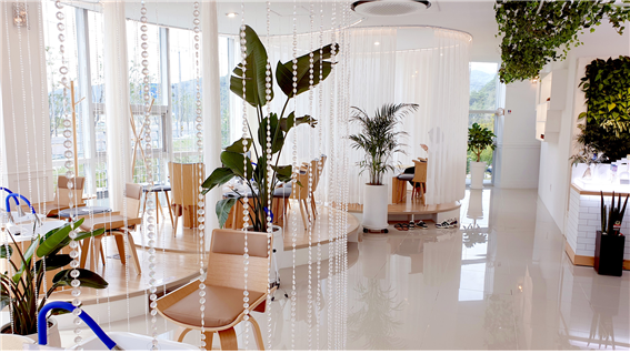 △ 바이오필릭다지인이 공간에 적용된 사례_지음플러스 설계 (사진=카페포카오)