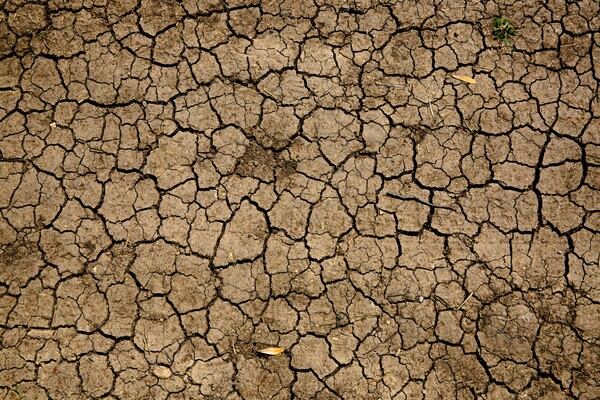 The earth breaks under a century's worst drought. /Photography provided by unsplash