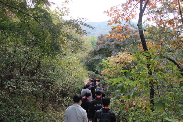 ▲남산 산책로를 걷는 동문들 (사진=권규리 기자.)